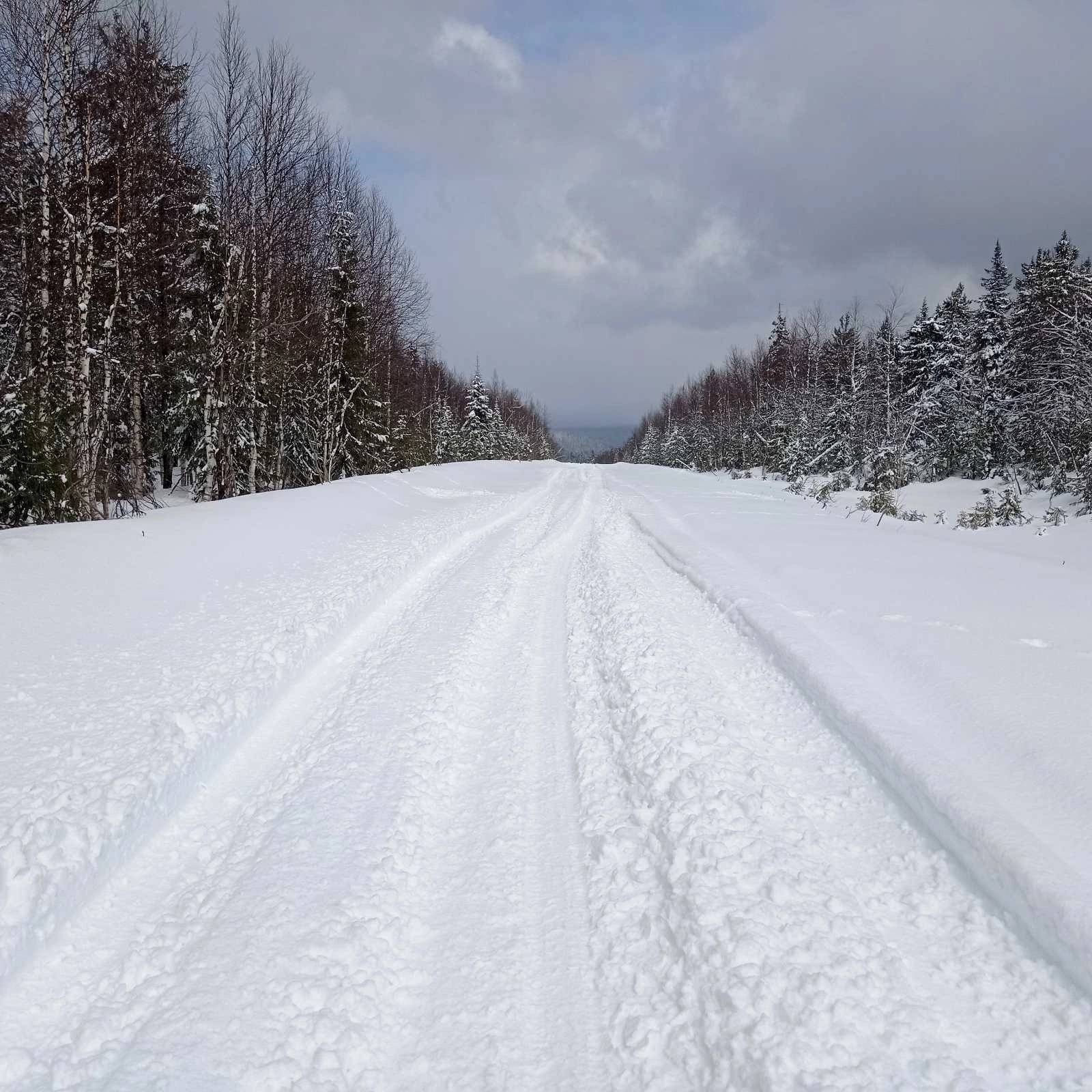 На севере Прикамья в середине мая дороги замело снегом