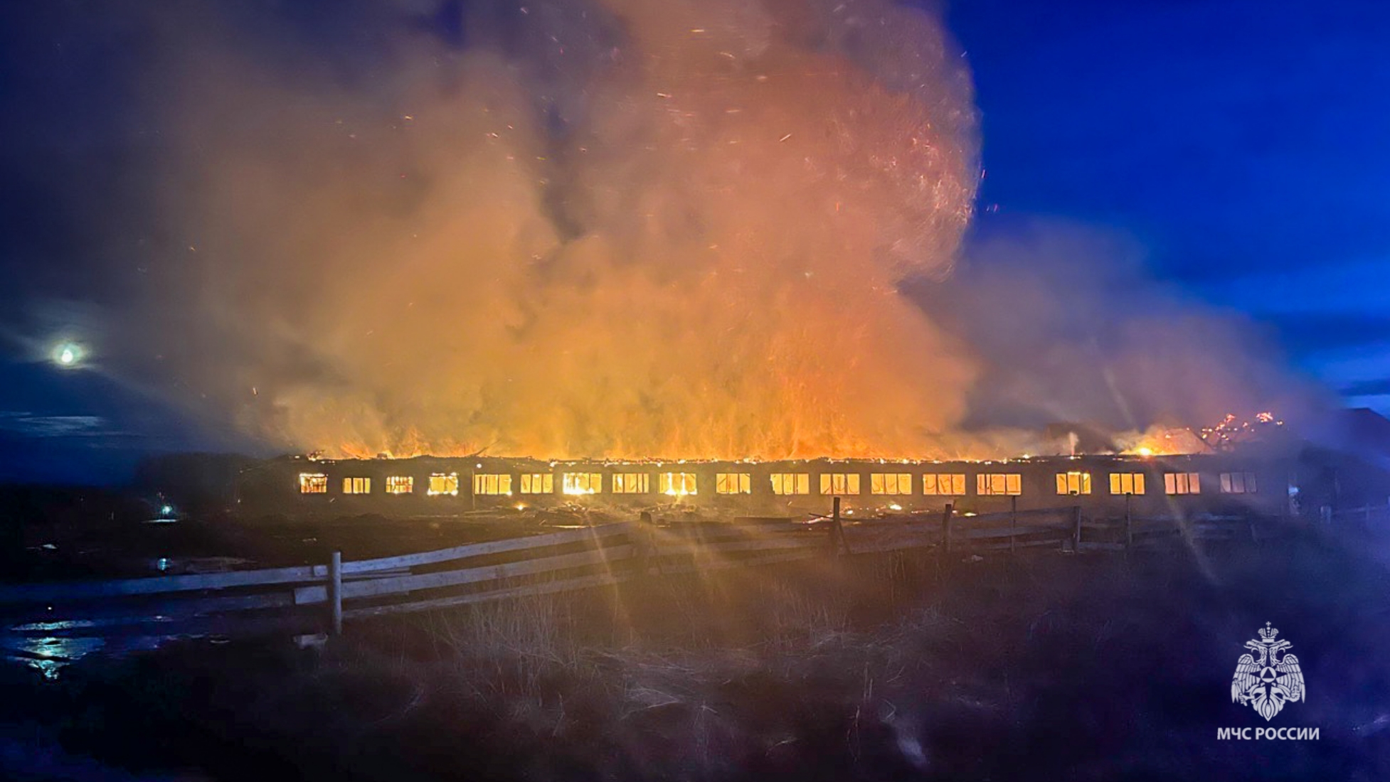 В Прикамье сгорела ферма, на которой находились 180 коров