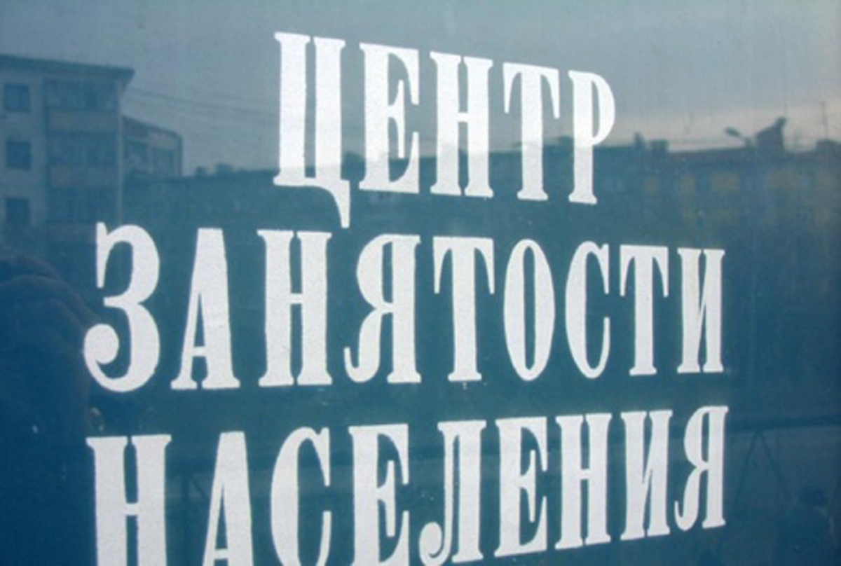 Количество вакансий в Пермском крае выросло на 4,6%