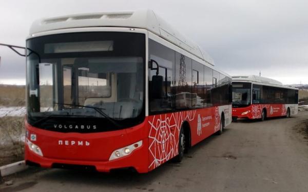 В Перми с конца марта пассажиропоток в общественном транспорте снизился на 75%<div><br></div>