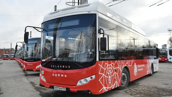 Власти Перми ужесточили требования
к автобусам в новых контрактах