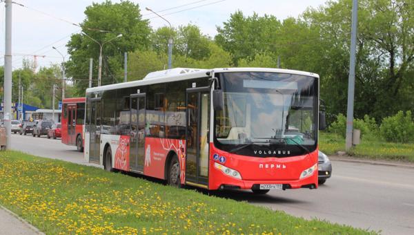 На 20 автобусных маршрутов Перми объявлены аукционы