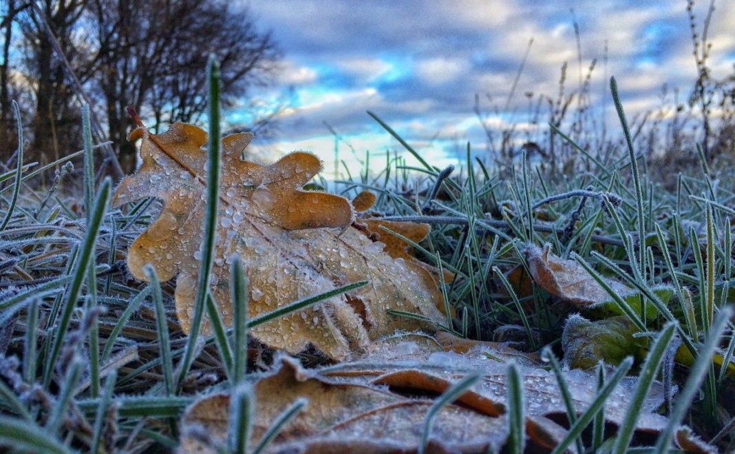 МЧС предупреждает об утренних заморозках в Пермском крае до -2 градусов