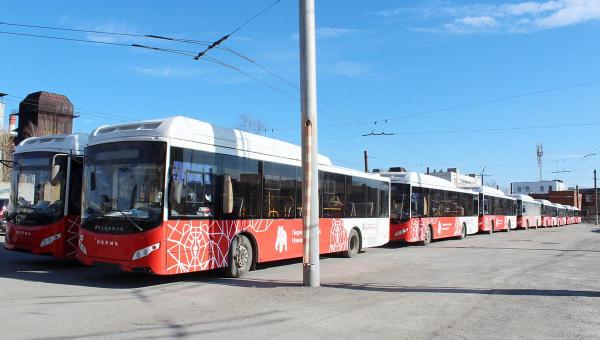 В Перми временно увеличат количество автобусов №46