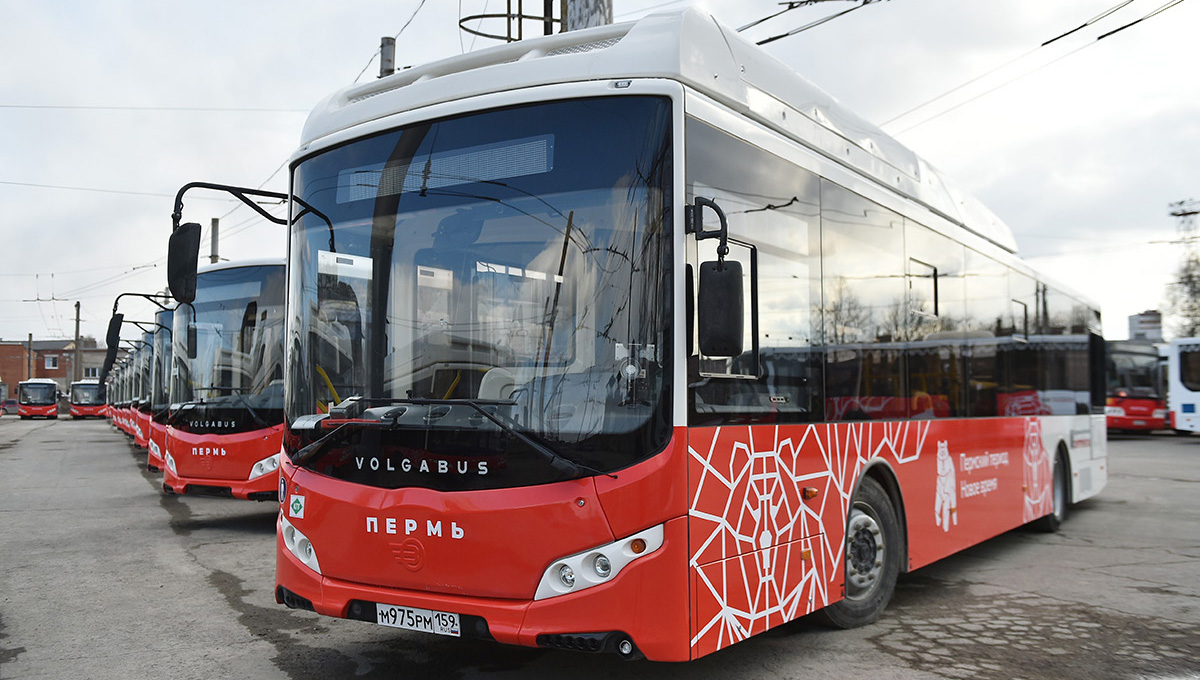 В Прикамье вышли на линию первые дачные автобусы