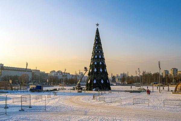 В этом году на установку главной новогодней ели в Перми потратят 3,5 млн рублей
