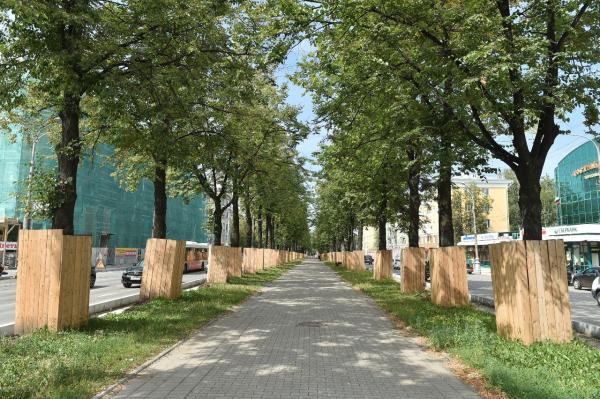 На Тихом Компросе в Перми вырубят 44 дерева 