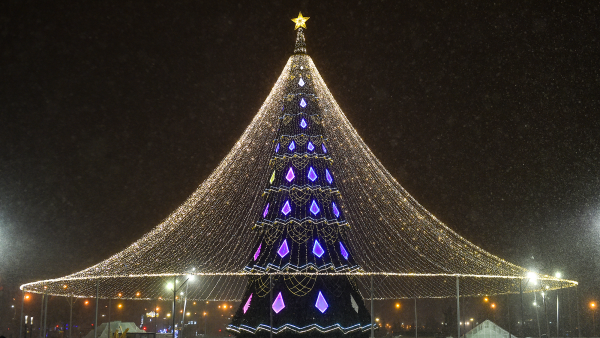 В новогодние праздники в Перми усилят меры безопасности