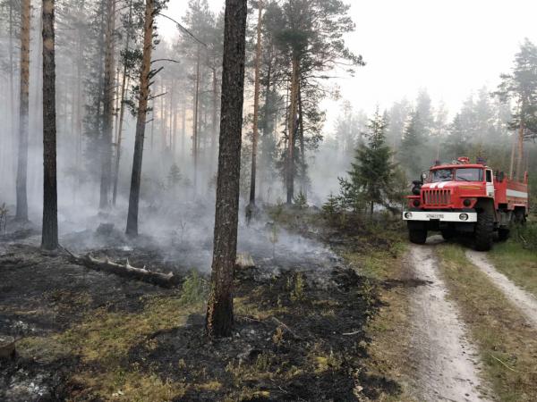 В Пермском крае у села Усть-Турка загорелся лес