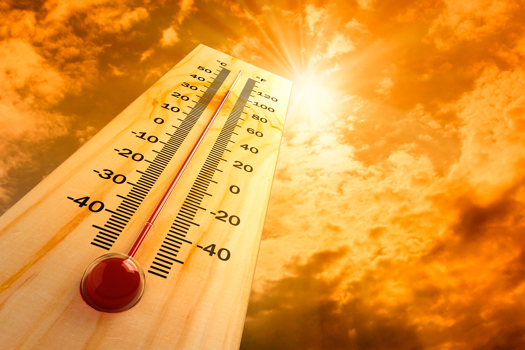 На этой неделе синоптики прогнозируют в Прикамье жару