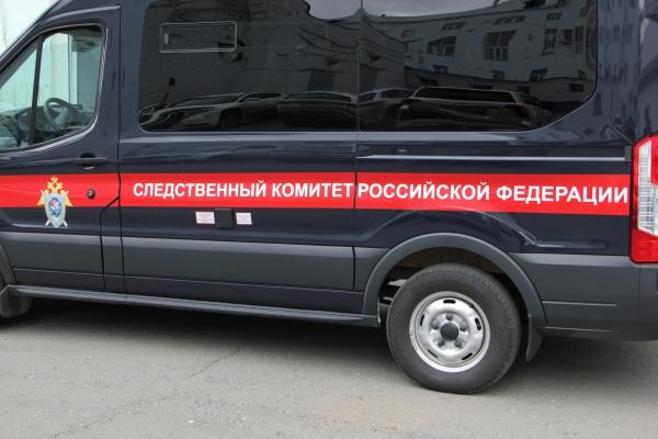 В Краснокамске задержали мужчину, которого подозревают в убийстве с помощью палки