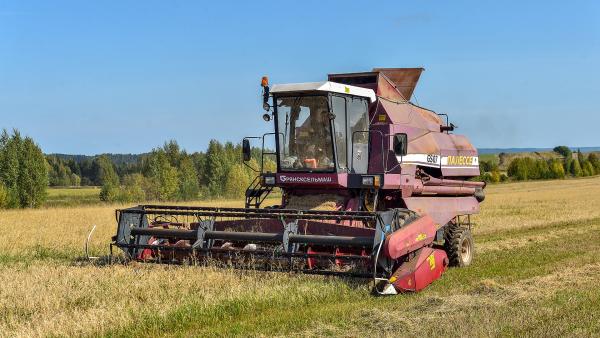 В Пермском крае увеличился объём реализации сельхозпродуктов