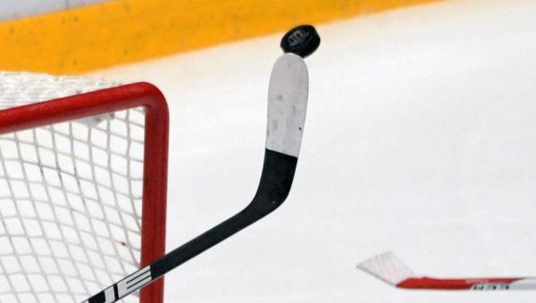 Олимпийские чемпионы по хоккею сыграют в гала-матче в Перми