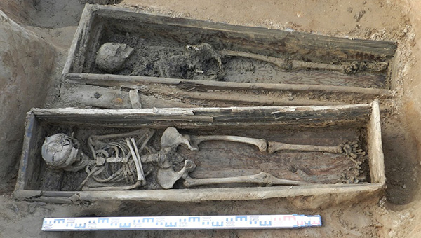 «Результаты исследований можно назвать поистине сенсационными!»