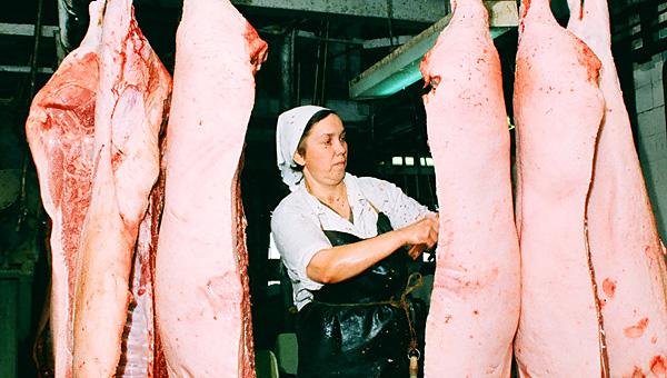 Свинское дело