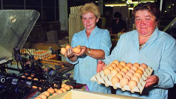 В октябре в Пермском крае на 7% подорожали яйца