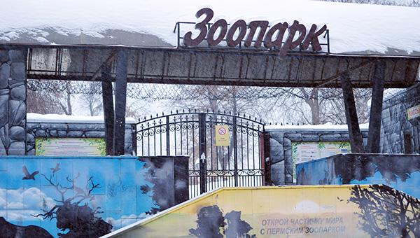Администрация Перми передаст зоопарк в краевую собственность до 20 ноября