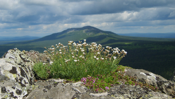 Руководство заповедника в Прикамье не предупреждало МЧС о походах тургрупп