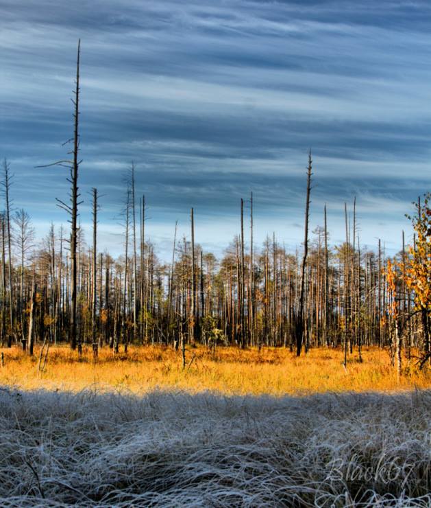 Работы пермского фотографа Юрия Чернова представлены на Всероссийском фестивале природы