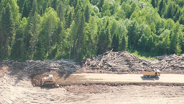 Пермские таможенники выявили контрабанду леса на 34 млн рублей