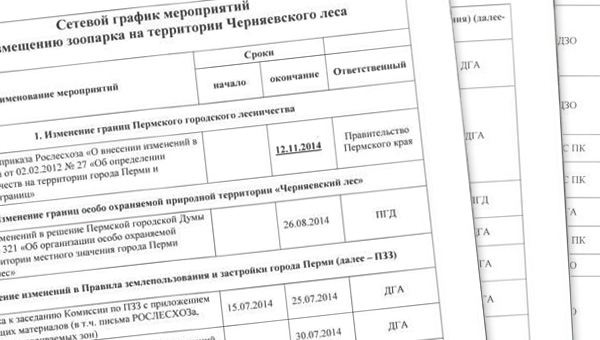 «Фактически команда губернатора бросила вызов российскому законодательству»