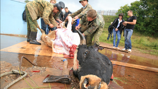 Спрос на убой