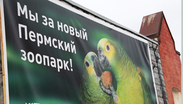 Так себе зоодумка