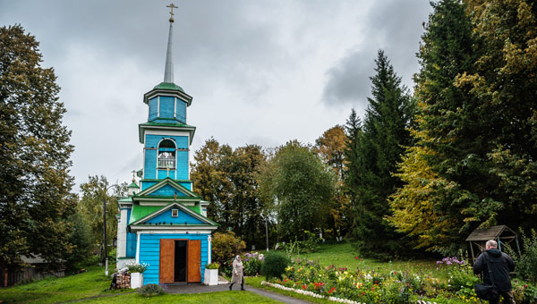 Лес — это мир