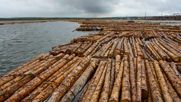 «Сейчас нужна только «отмашка» от федерального министерства»