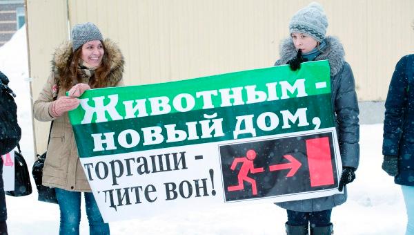 «Лес не для стройки, а для мишки Борьки»