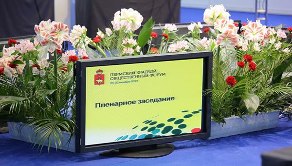 «Многие муниципалитеты де-факто возможности для НКО не предоставляют»