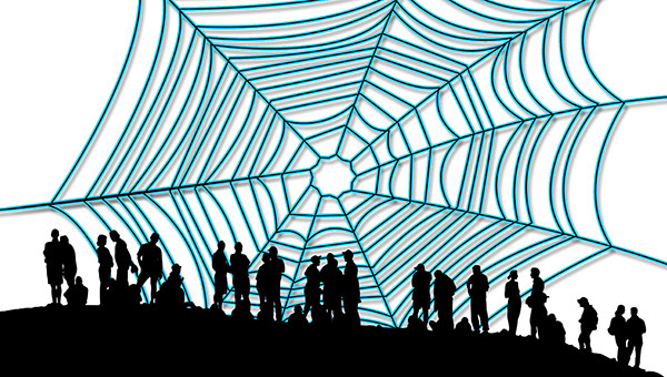 Застрявшие в «паутине» 