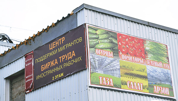 <div>В Пермском крае в полтора раза выросло количество преступлений против мигрантов </div>