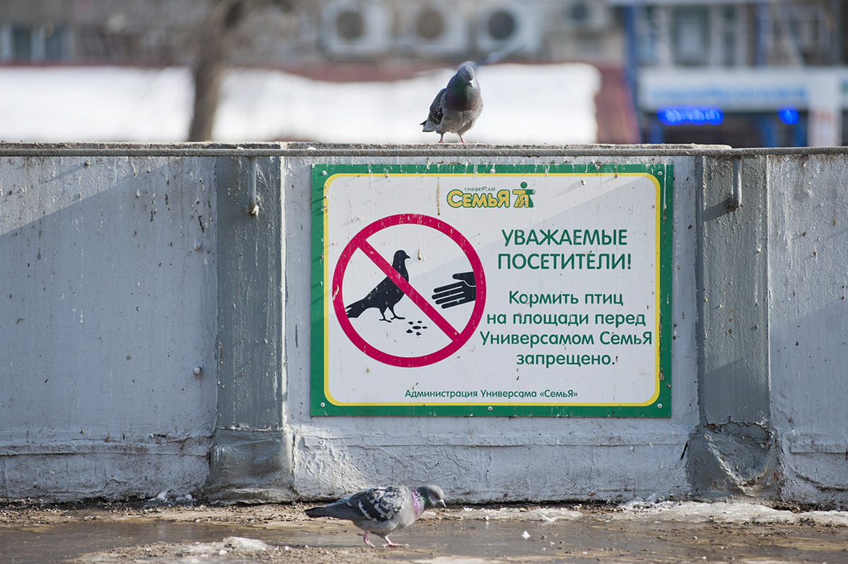 Мартовские иды, или Имплементируй это