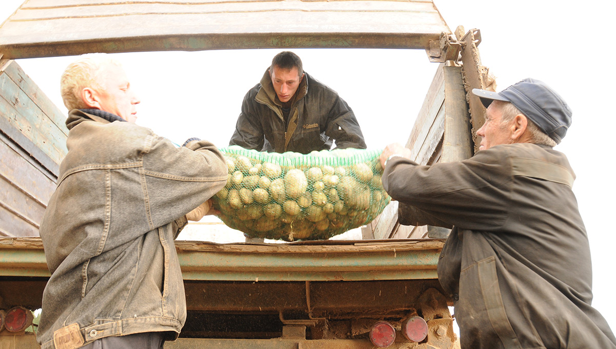 «Мухи отдельно, котлеты отдельно»