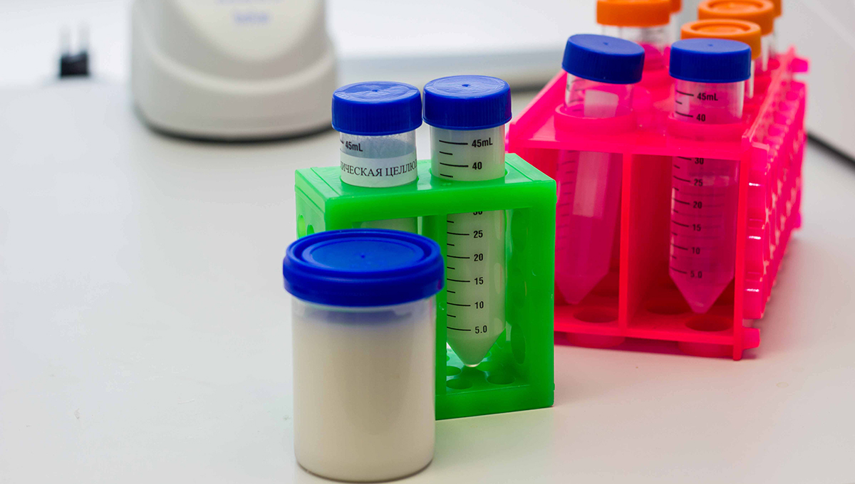 Биотехнологи ПГНИУ смогут сделать материал для бронежилетов из целлюлозных отходов