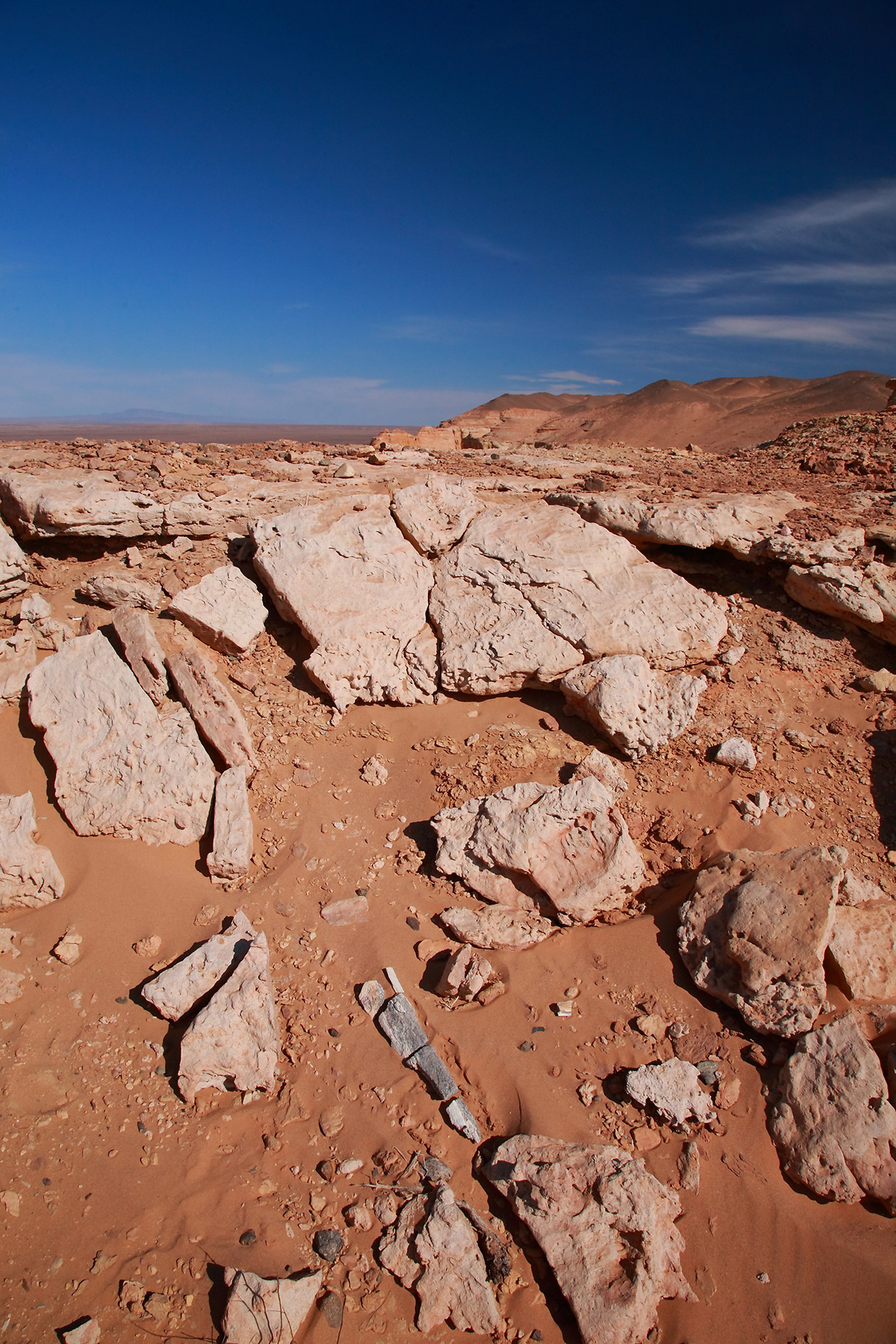 Кость динозавра в песчано-глиняной осыпи урочища Хэрмэн-Цав. Найдена в результате целенаправленного поиска, снята в том виде, как и была обнаружена — лежащей на поверхности