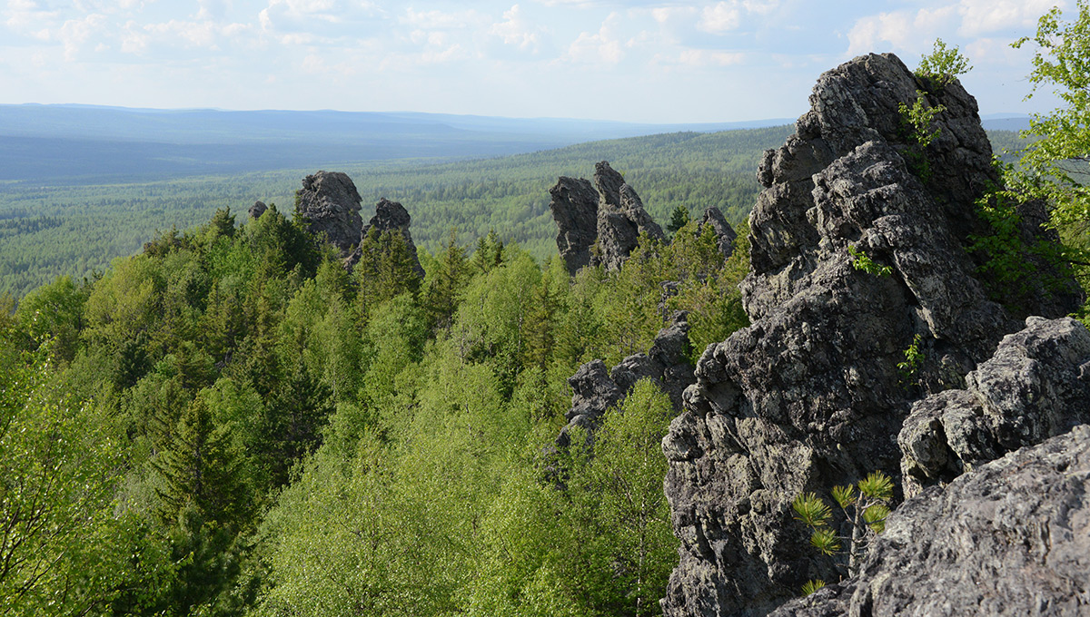 Сами себе Discovery Channel