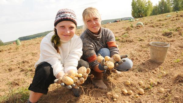 В Пермском крае с 2022 года в пять раз могут снизить налог на жильё аграриев 