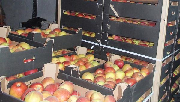 Пермские таможенники изъяли в Ижевске более полутора тонн «санкционных» яблок из Польши