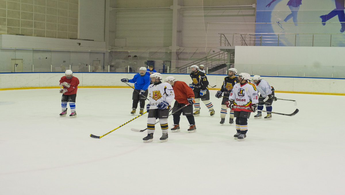 Краевые власти помогут ФОКу на ул. Обвинской приобрести ледовую машину