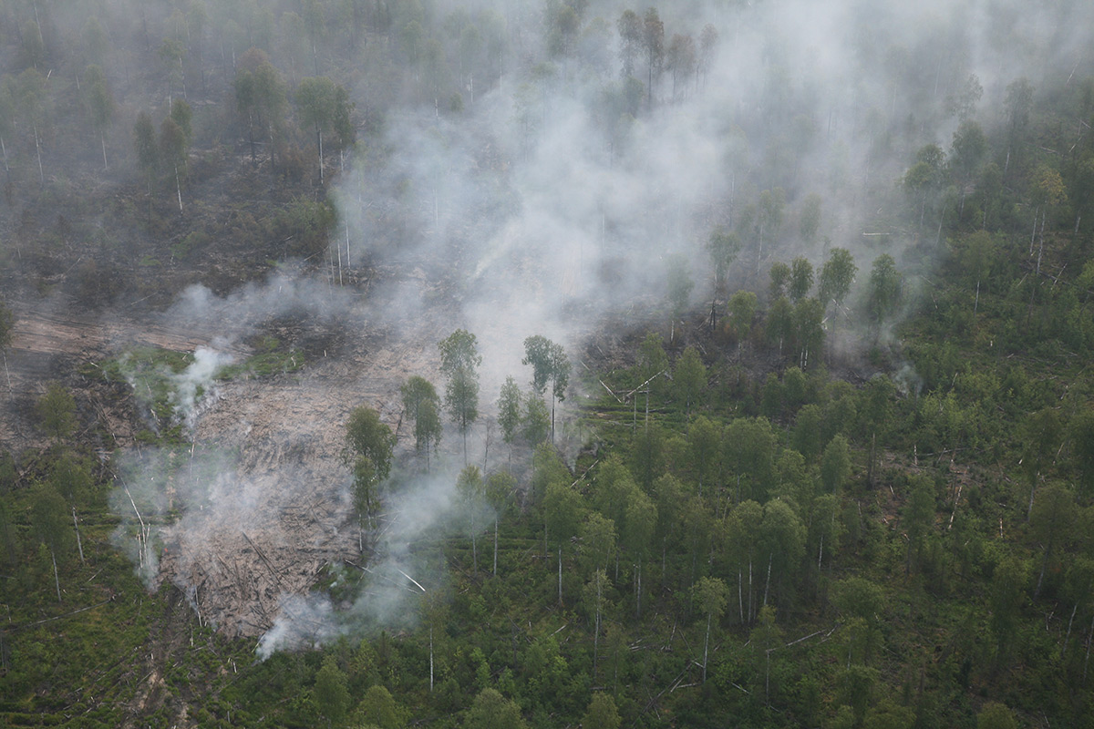 В мае в лесах Прикамья ожидается высокая пожарная опасность