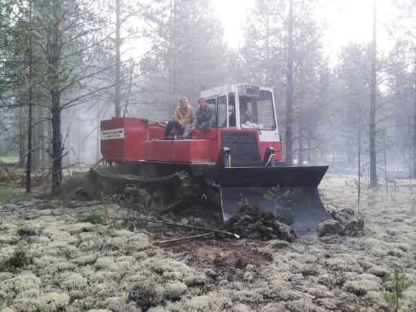 Ликвидирован лесной пожар в Краснокамском городском округе
