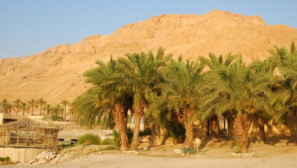 В Египте остаются около 3 тыс. туристов из Прикамья
