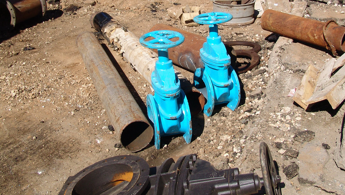 Импортозаместителям «открыли глаза»