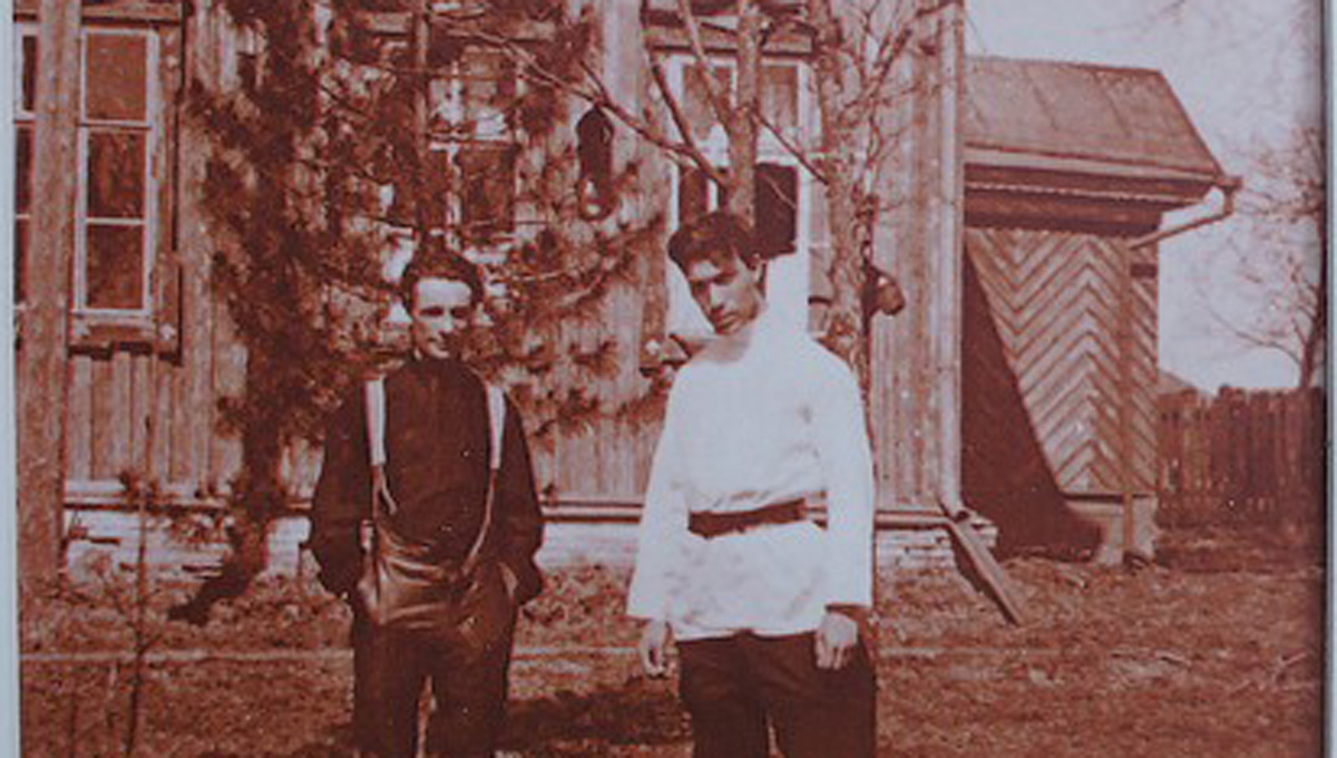 Кедр Пастернака включили в национальный реестр деревьев