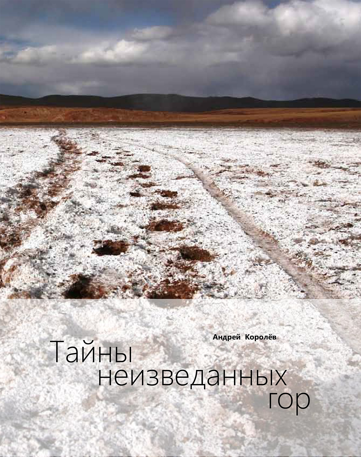 Возобновила работу программа «Пермская библиотека»