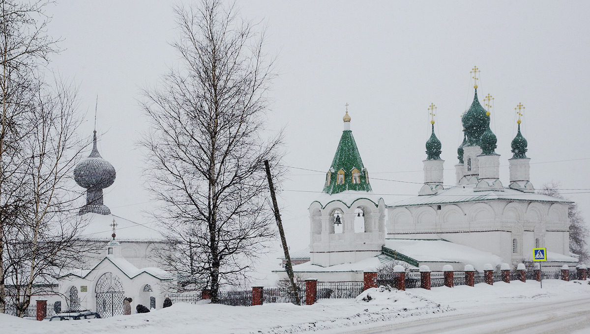 Цветы, выросшие на соли