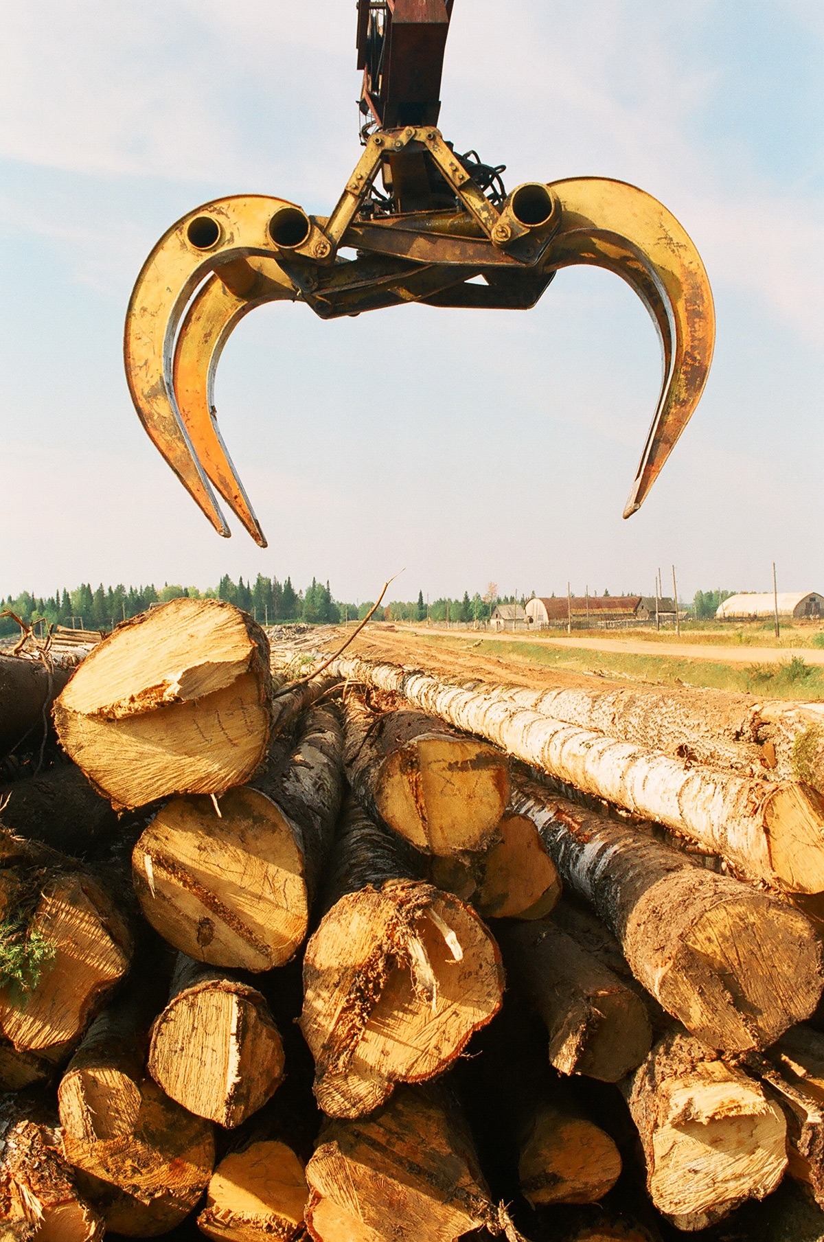 УФАС: из-за неправомерных действий минприроды бюджет Прикамья недополучит 890 млн руб.