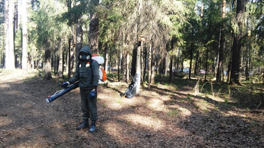 В Прикамье растёт активность клещей